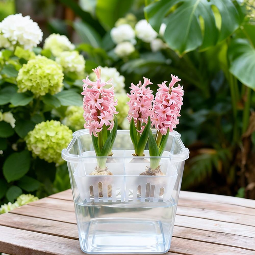 튤립과 백합을 심을 수 있는 투명한 수경 재배용 화분, - Vase Decor 리뷰 및 가격
