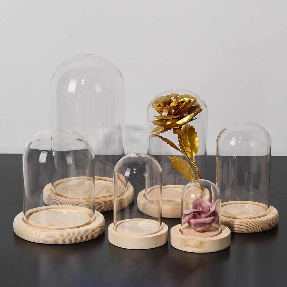 페어리 라이트 홈 데코 테라리움 투명 유리병 유리 화병 - Vase Decor 리뷰 및 가격